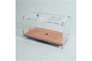 KXCR Unendliche Erweiterung Ameisenfarm Beton AntHouse Formicarium Ameisennest Mit Fütterungsbereich Ameisen Haus Insekt Villa Ameisenhaufen Werkstatt Ant Farm Futterbox (Color : A)