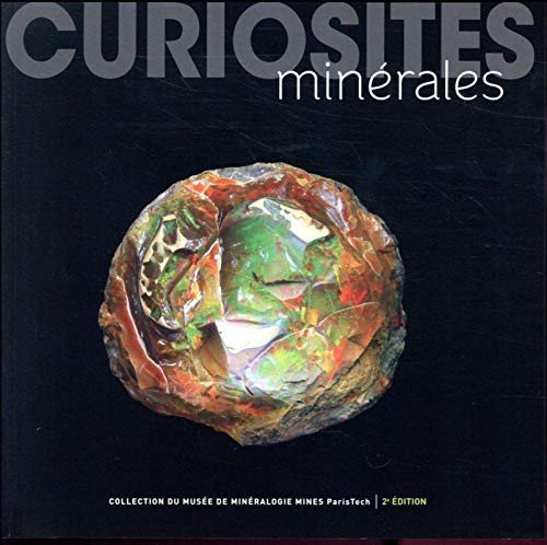 Télécharger Curiosités minérales: 400 merveilles de la nature PDF