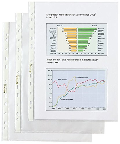 Hetzel 22457490 - Fundas perforadas transparentes (DIN A4, 100 unidades, polipropileno)