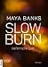 Cover zum Buch Slow Burn: Gefährliche Lust