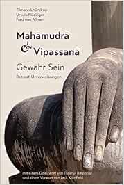 Mahamudra Und Vipassana Gewahr Sein Retreat Unterweisungen Borghardt Tilmann Lhundrup Allmen Fred Von Fluckiger Ursula Amazon De Bucher