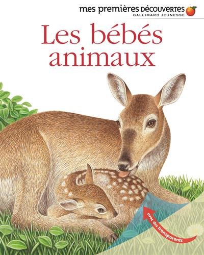 <a href="/node/26932">Les bébés animaux</a>
