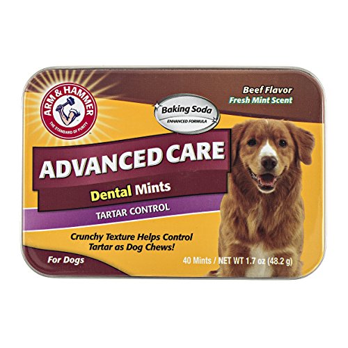 Arm & Hammer Advanced Care Tartar Control Dental Mints For Dogs in Beef