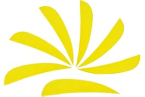 ZSHJG 50pcs Plume de Flèche Empennage de Flèche 3 Pouces Fletches Naturelles Aile Droite pour Les Flèches de Bricolage Arbalète Flèches de Carbone