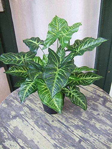 Künstliche Nephthytis Pflanze getopft ca. 45cm Top Qualität - 3