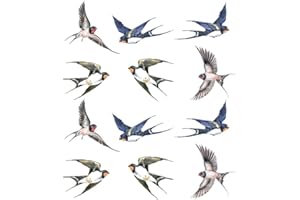 Beavorty La Finestra Anti Collisione Si Aggrappa 12 Pezzi Di Adesivi Per Finestre Di Rondine Adesivo Deterrente Adesivo Decalcomanie Per Finestre Per Colpire Il Vetro Della Finestra