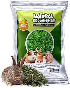BOLTZ Growth Hay for Rabbits, Guinea Pigs and Hamsters, Medium, 600 Gram