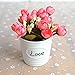 Produktbild WANG-shunlida Fake Blumen Kunstseide Blume Simulation Package Zähler Schreibtisch Anzeige Home Ausstattung Dekorative Keramik Topfpflanzen Blume Pflanzen, DW unten