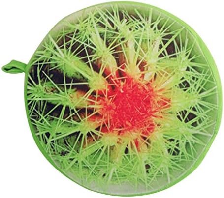 LUFA 3D Creative Fruit Shaped Pillow Seat Cushion Sofa Pillow Plush Toy Gifts 10 Colors-Cactus&33*5cm