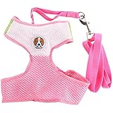 aaa226Pet Hund Katze weicher Verstellbarer Mesh Geschirr Walk Out Hand Leine Gurt Kordel Weste