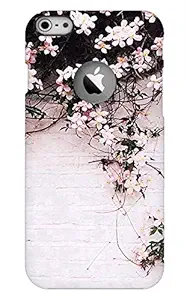 DESIGN GURU  Floral Polycarbonate Back Cover for iPhone 6s/6, iPhone 6 Back Cover for Girls, Logo Cut iPhone 6/6s Back Cover (Slim-fit - Hard Case, Multicolour)