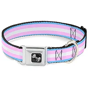 Dog Collar Seatbelt Buckle Flag Transgender Baby Blue Baby Pink White 11 to 17 Inches 1.0 Inch Wide