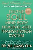 Divine Soul Mind Body Healing and Transmission Sys: The Divine Way to Heal You, Humanity, Mother Earth (Soul Power) by