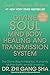 Divine Soul Mind Body Healing and Transmission Sys: The Divine Way to Heal You, Humanity, Mother Earth (Soul Power) by