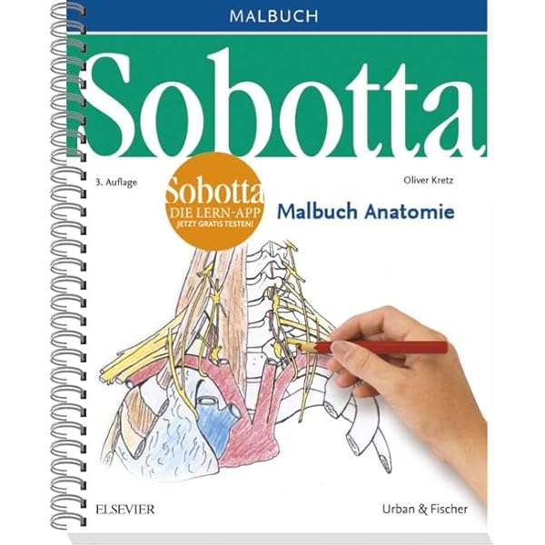健康・医学 Sobotta Malbuch Anatomie 8001634-0.jpg