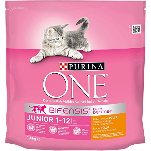 Purina ONE Bifensis Pienso para gatitos Junior Pollo y Cereales 6 x 1,5 Kg