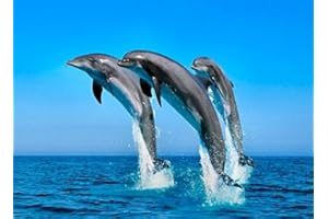 PARTYLANDIA-SHOP CIALDA in ostia DELFINI CHE SALTANO per DECORAZIONE TORTA