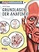 Manga-Zeichenstudio: Grundlagen der Anatomie: Geheimtipps der Profis by 