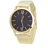 linqi1164 Uhren Damen Armbanduhren für Frauen Damen Geschäft Kleid Uhr Edelstahl Mesh-Metallband Uhren Quarz Damenuhr Mesh Strap Armband Analoge Armbanduhr Unisex Lederarmband Uhr Damen für Frauen
