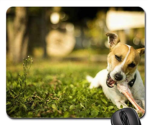 Preisvergleich Produktbild Spielmausunterlagen, Mäusematte, Hundetiernatur-Tier-Hunde-Gras-Hinter...