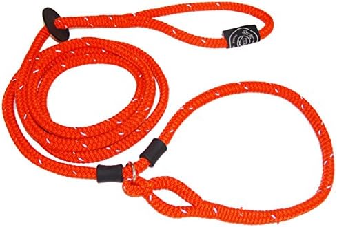 Harness Lead Leash, Small/Medium, Orange