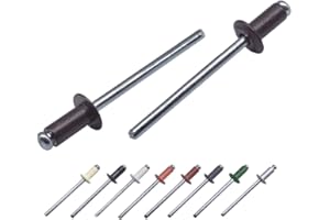 MARCOPOL Lot de 100 rivets aveugles peints 4,0 x 10 mm, tête bombée, DIN 7337, rivets en aluminium et mandrin en acier, rivets pop (100, gris marron RAL 8019)
