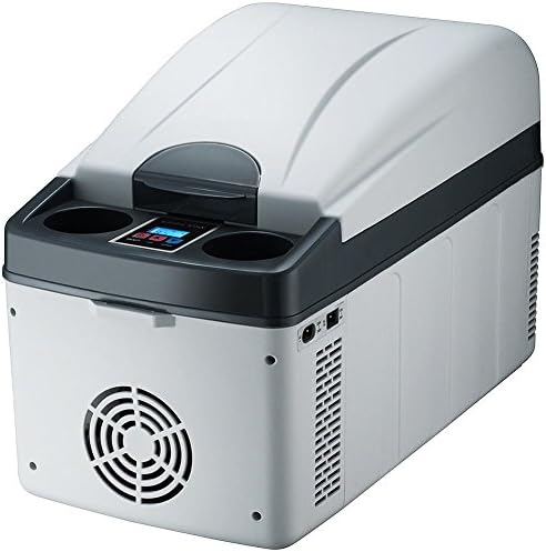 WYJD Car refrigerator20L 12V Cool Box Insulated Car Cooler Car Home Dual-Use Car Mini Portable Picnic Camping Fridge Cold And Warm Box