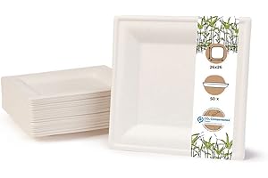 BIOZOYG Vajilla ecológica de bagazo desechable | 50 piezas Platos de caña de azúcar blanca angular blanqueada 26x26 cm | Vajilla Desechable Bio plato de comer plato de fiesta
