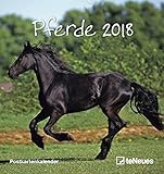 Pferde 2018 - Postkartenkalender, Tierkalender, Pferdekalender - 16 x 17 cm by
