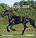 Pferde 2018 - Postkartenkalender, Tierkalender, Pferdekalender - 16 x 17 cm by