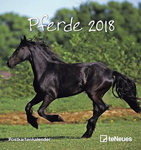 Pferde 2018 - Postkartenkalender, Tierkalender, Pferdekalender - 16 x 17 cm