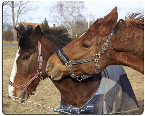 Jun xt Mousepad starr 990515 0770 Scaevola taccada with Sterna fuscata in flight Eastern Island Midway Atoll Natural Rubber Material Image 24444446091