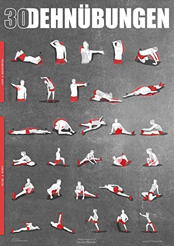 Dehnübungen Poster DIN A1 - Anleitung zum Stretching und Dehnen für dein Workout - Trainingsplaner für zu Hause