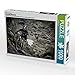 Produktbild Ein Motiv aus dem Kalender Downhill Moments 1000 Teile Puzzle quer (CALVENDO Sport)