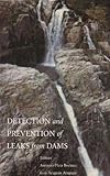 Image de Detection and the Prevention of Leaks from Dams