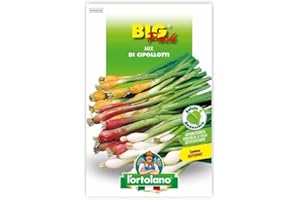 COOPERATIVA CIPOLLOTTI MIX BIG PACK L'ORTOLANO