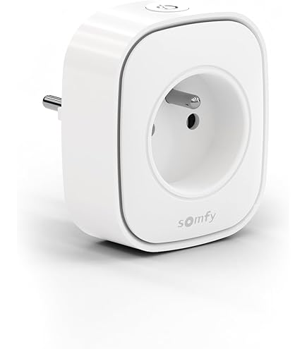 Somfy 1240630 - SGS Line RTS motor for swing gates | Supplied with 3 Keytis remote controls, orange light and photosensitive sensors | Works with TaHoma