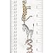 Talltape ('Animals') - Portable, Roll-up Height Chart Plus 1 Sharpie Mini Marker Pen To Measure Children From Birth To Adulthood - Choice of 8 Designs
