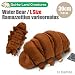 Produktbild Seegeschöpf Tardigrade Wasser Bär Plüsch (L Größe / 30 cm / Ramazzottius / Brown)