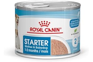 Royal Canin Starter Mousse Mother & Babydog | 12 x 195 g | Comida húmeda Ultra Soft Mousse | para Perras en el último tercio de gestación y Durante el periodo de Lactancia