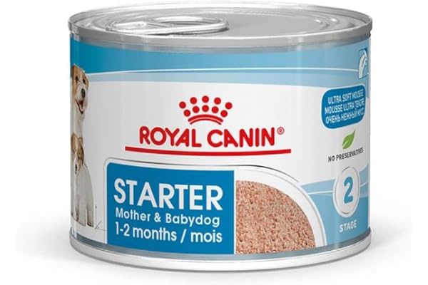 Royal Canin Starter Mousse Mother & Babydog | 12 x 195 g | Nourriture Humide Ultra Soft Mousse | pour chiennes au dernier Tiers de la Gestation et Pendant la période d'allaitement