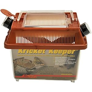 Lucky Reptile KK-1 Kricket Keeper klein, Terrarium zur Futtertierhaltung