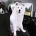 Baby Car Window Sun Shade with UV Protection - Ultimate Protection from Sun and Heat for your Kids and Dog - Car Window Sun Cover without Clings or Suction Cups - Easy To Use, Fits Most Cars and Comes with Lifetime 100% Money Back Guarantee