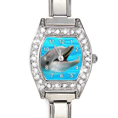Delphin Damenuhr Italian Charms mit Strass