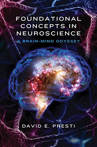 Pdf Foundational Concepts In Neuroscience A Brain Mind Odyssey