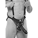 Produktbild Harness mit Penis hohl 25 cm schwarz