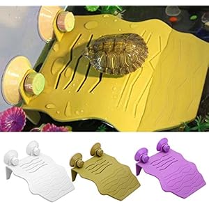 dairyshop Aquarium Tank Reptile Turtle Terrasse Plattform Sun Dach Dock Decor stabil NEU, weiß, S
