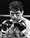 Produktbild Limited Edition Robert De Niro Raging Bull unterzeichnet Foto Autogramm signiertsigniertes