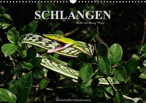 Schlangen (Wandkalender 2017 DIN A3 quer): Fotokalender mit Motiven von Schlangen aus aller Welt (Monatskalender, 14 Seiten ) (CALVENDO Tiere)