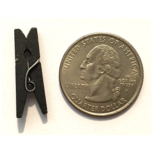 LWR Stellmotor Crafts Mini-Holz-Wäscheklammern 15 Farben 100 Pro Pack 2,5 cm 2,5 cm schwarz - 3